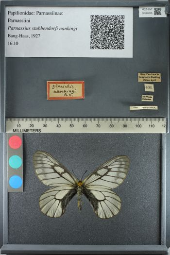 Media type: image;   Entomology 180205
